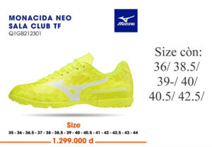 mizuno.pics-mocacida-neo-sala-vang-cam-ii